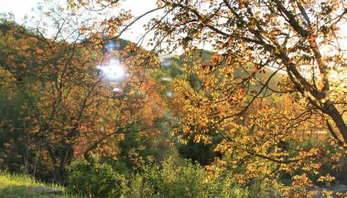 Agriturismo Malvista - Foto 5