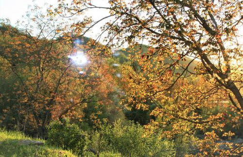 Agriturismo Malvista - Foto 5