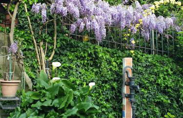 Creativ hause - Foto 24