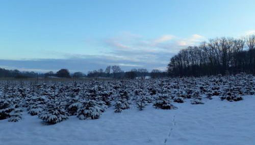 Haus-Auetal - Photo 2