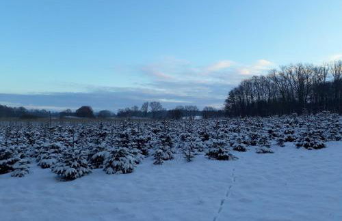 Haus-Auetal - Photo 2