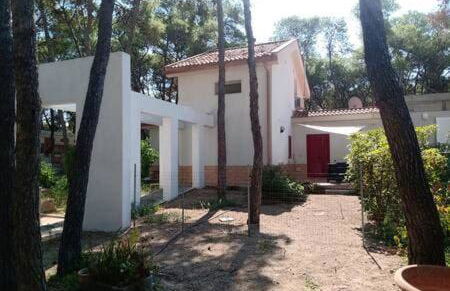 Villa immersa in pineta 100m dalla spiaggia - Foto 3