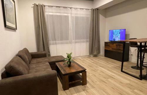 Goldstadt Comfort Suite - City Apartment Schlössle - Foto 11