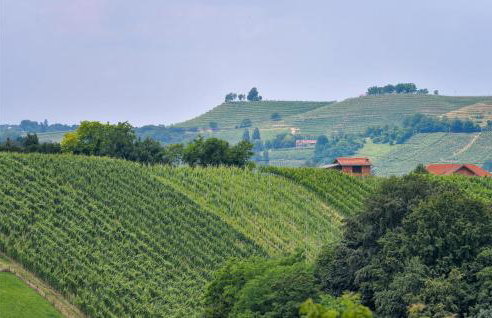 Nice Home In Zelezna Gora With Sauna - Foto 28