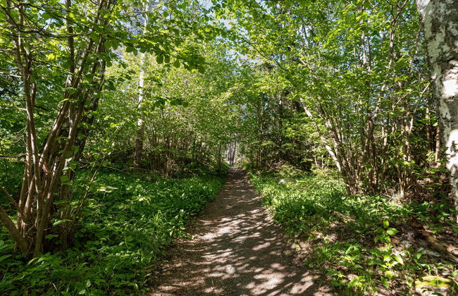 Harge Sörgård - Foto 48