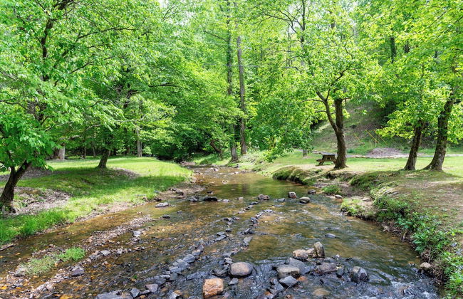 Buck Valley Lodge Mountain Getaway! - Foto 26