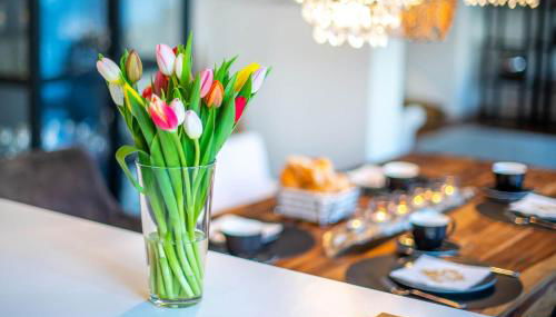 Ferienwohnung Koblenz Altstadt - Foto 5