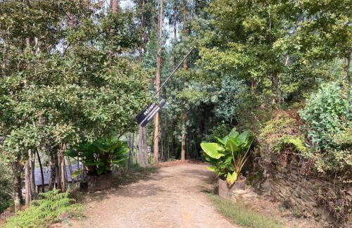 Quinta da Recochina - Foto 14