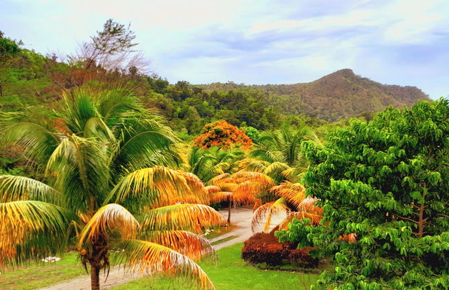 Pinard's Mountain Resort- Cottage 8 - Foto 41