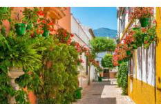 EsteponaCies - Photo 44