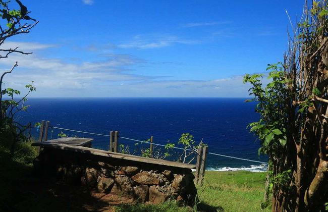 Capim Açu + Leão Beach Hiking Tour - Photo 3