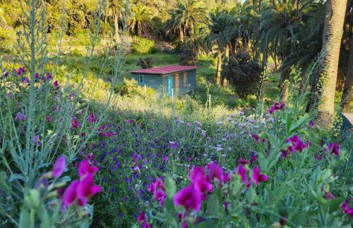 Casa Tara Ruhe und Entspannung, Natur pur - Foto 37