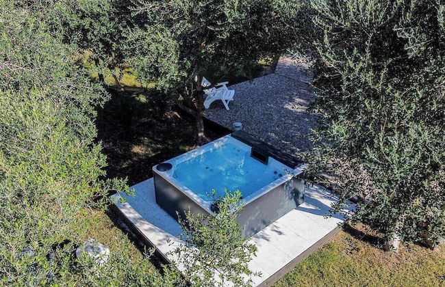 Seregnér Homes - Foto 6