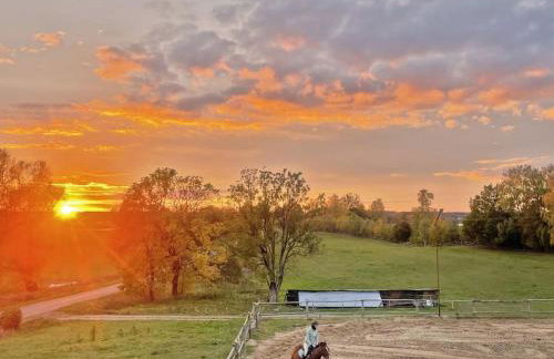 Agroturystyka Kociołek - Foto 7