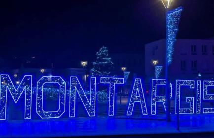 Escale Détente-Loft avec Terrasse- Parking Montargis - Photo 32