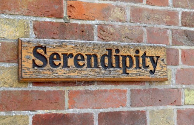 Serendipity - Foto 25