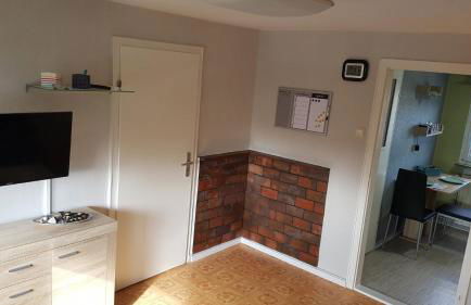 Seehund-Lilly - Foto 7