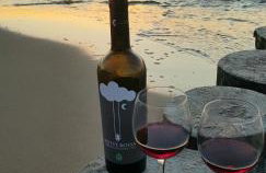 PINEA BALTIC - Double Sea View - Apartment z widokiem na morze - Photo 55