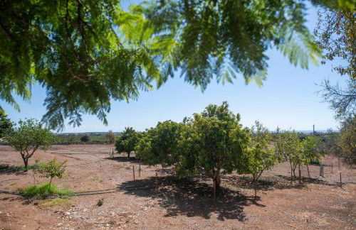 Quinta Castor - Foto 17