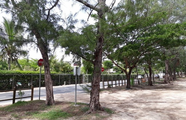 Allamanda Studios and Apartments - Photo 29