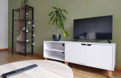 meublé du Plateau - Nancy centre Gare Tgv - Foto 15