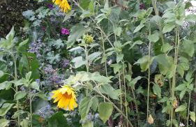 Ferienwohnung "Hinterland" - Foto 11