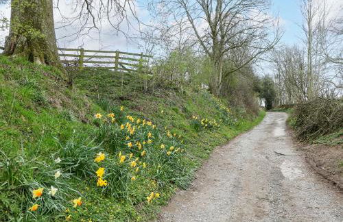 Charlottes Cottage - Foto 17