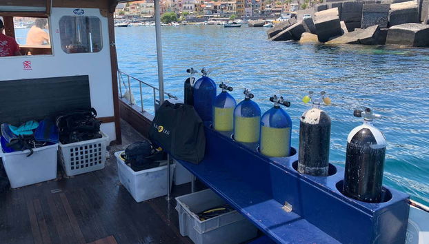 Immersione a Catania - Foto 4