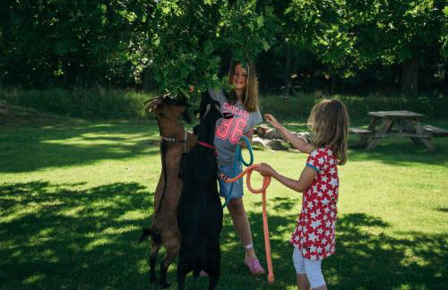 Ferienbauernhof Liesenberg Meerblickhaus Strandmuschel - Foto 52