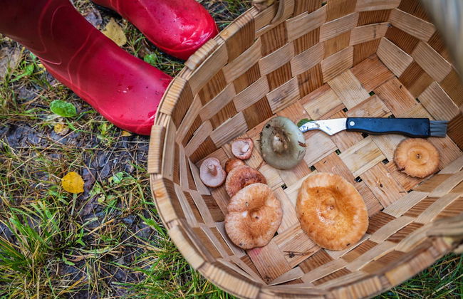 1 bedroom House in Sysmä - Photo 32