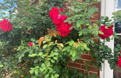 Rose Cottage - Foto 3