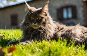 Agriturismo Sole - Foto 63