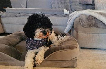 Home sweet Home - Photo 20