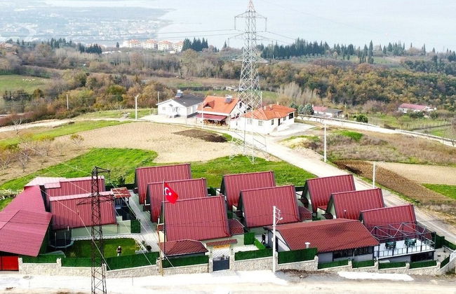 Patya BUNGALOV - Foto 66
