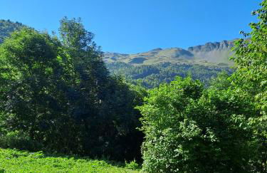 Chalet de l'ulmjc de Grenoble - Foto 27