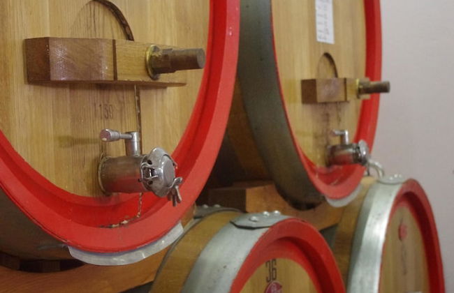 Agriturismo i Grappoli - Photo 35