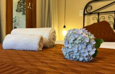 Chalé das Hortências - Parque Nacional do Caparaó - Foto 26