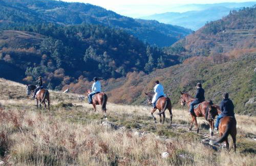 Casa da Feira - Foto 39