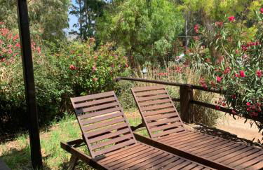 Molino El Mastral - Photo 5