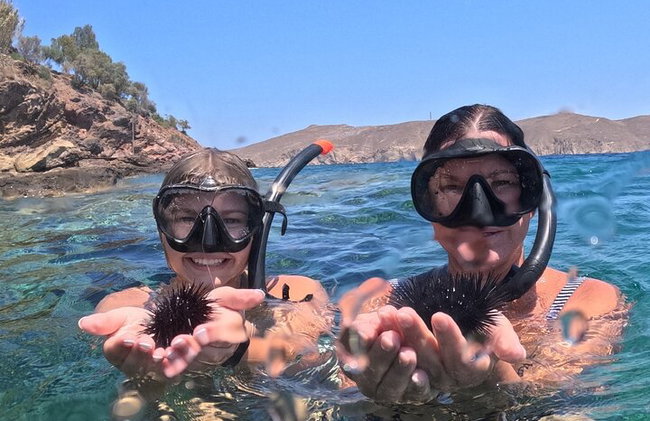 Mykonos Private Island Tour com paragem de snorkeling - Foto 15