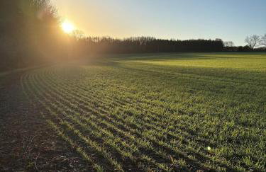 Little Vine Cottage in the grounds of Leeds Castle - Foto 37