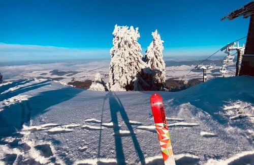 Haus Sonnenblick - Foto 25