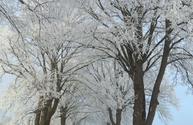 Traditional Apartment near Sea in Kühlungsborn - Foto 13