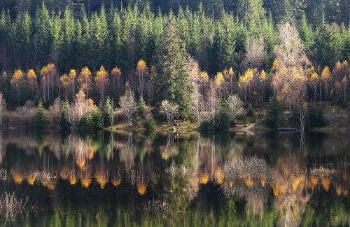 Gemütliches Ferienreihenhaus mit Holzkamin im Schwarzwald - Foto 22