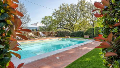 Villa Sunshine apartments - Foto 4, sunbed, Garden view