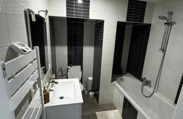 Appartement cosy au centre ville de Colmar - Foto 7