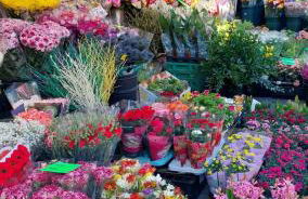 Casa Sassello - Appartamento Menta - Foto 38