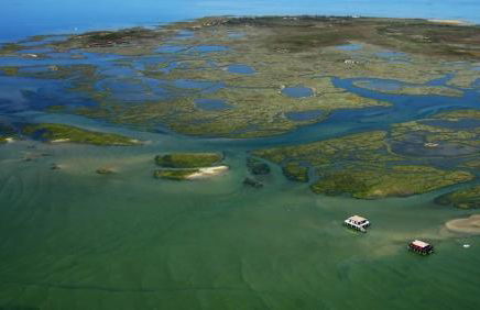 Lou Cachotte - Photo 6