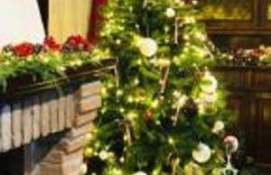 Azienda Agrituristica Il Moraiolo - Photo 45