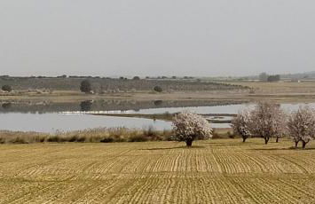 Casa Rural La Galana Albacete - Foto 19